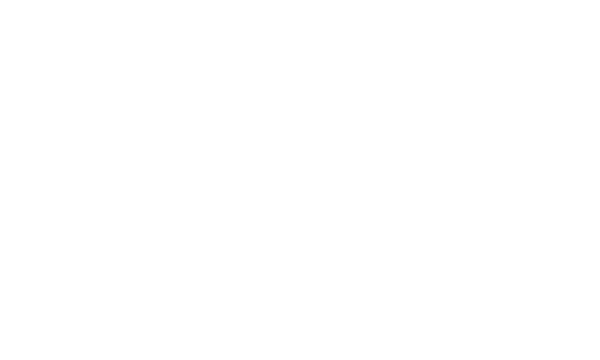 NeuroLeadership Institute
